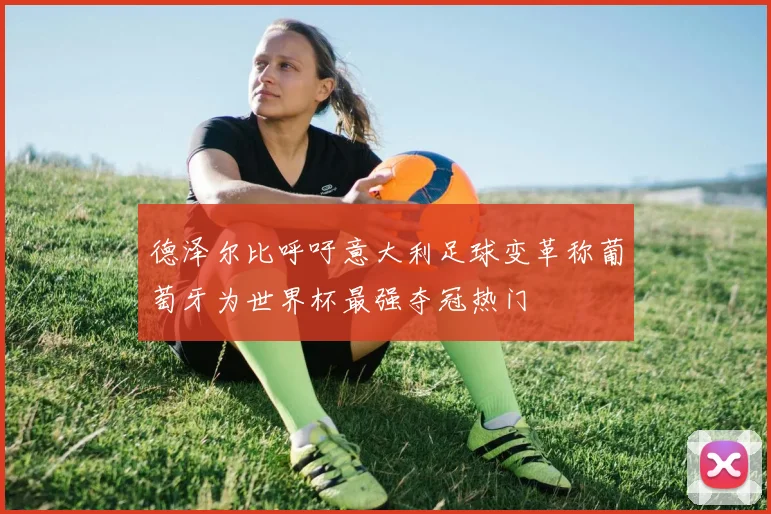 德泽尔比呼吁意大利足球变革称葡萄牙为世界杯最强夺冠热门